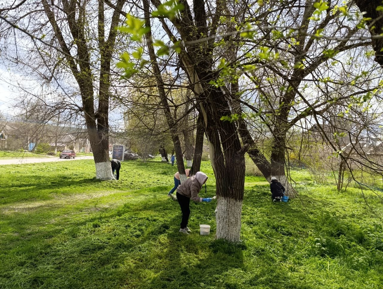 Масштабная весенняя уборка продолжается.