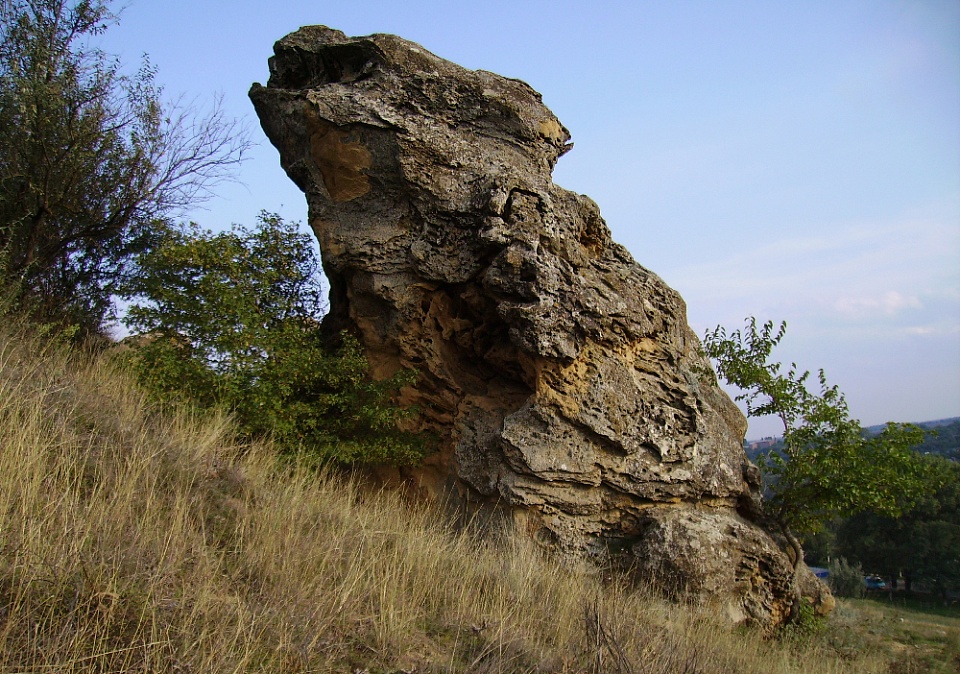 Гора Лягушинка.